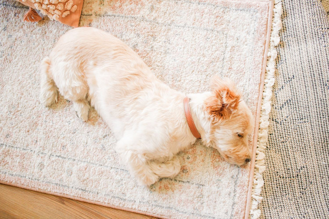 Quick and Easy Tassel Rug with Fabric Glue